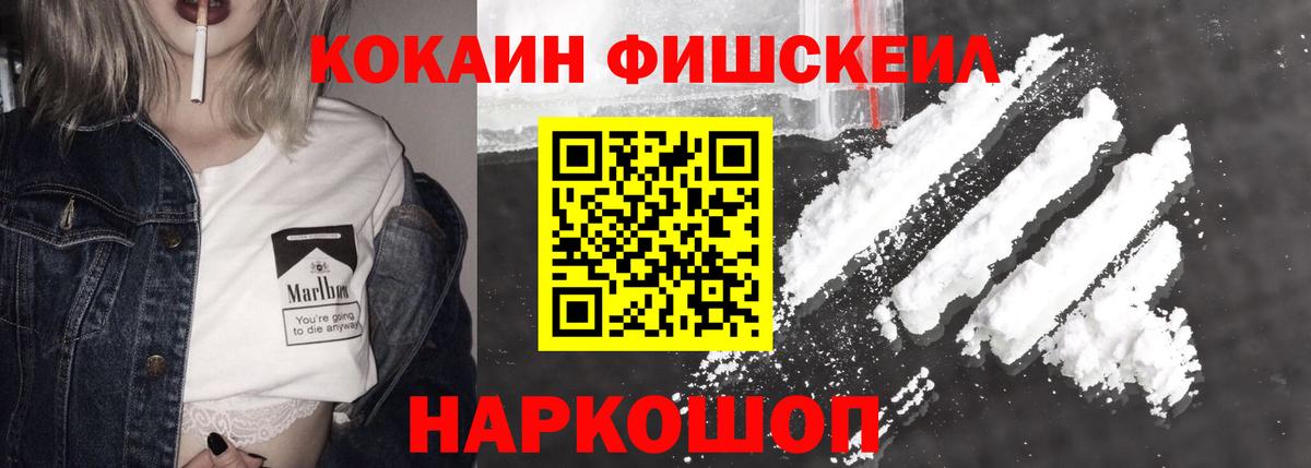 Советск  COCAIN Fish Scale  Вход с VPN 