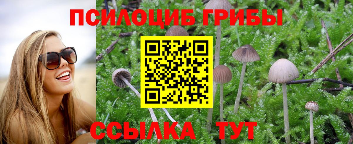 Псилоцибиновые грибы Psilocybe  Псилоцибиновые грибы Magic Shrooms  Советск  Вход с VPN 