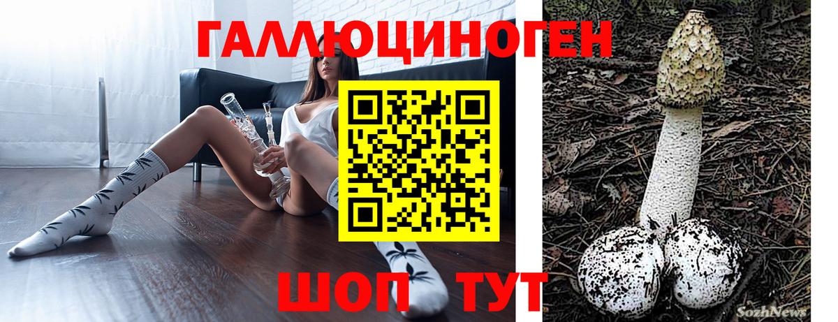 Галлюциногенные грибы Magic Shrooms Советск